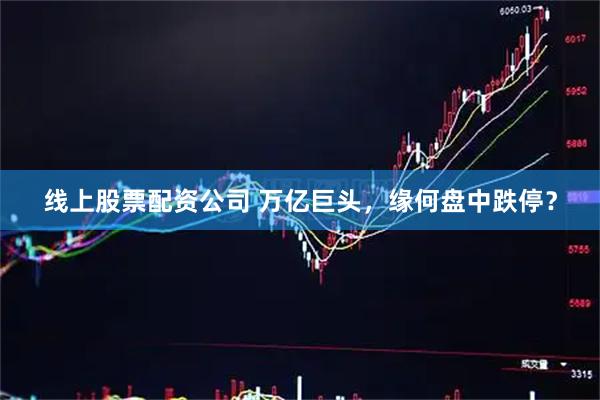 线上股票配资公司 万亿巨头，缘何盘中跌停？
