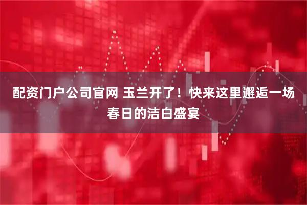 配资门户公司官网 玉兰开了！快来这里邂逅一场春日的洁白盛宴